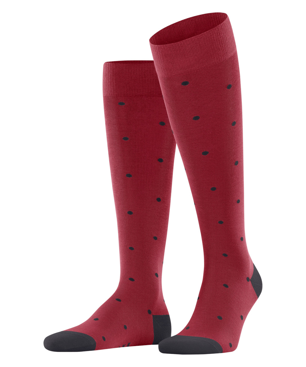 Falke Dot Herren Kniestrümpfe