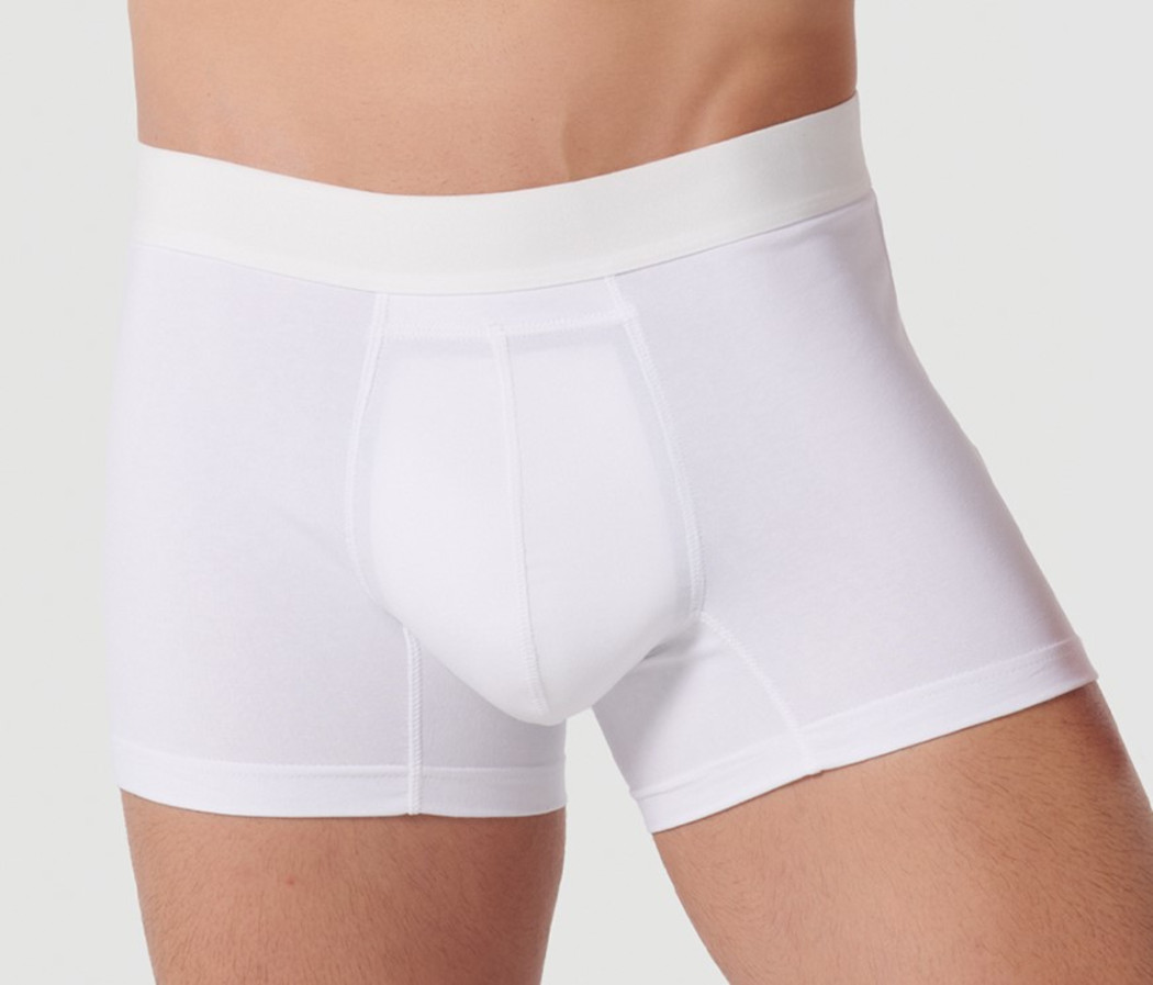 Siegmund Care Herren Hygiene Boxer Slip