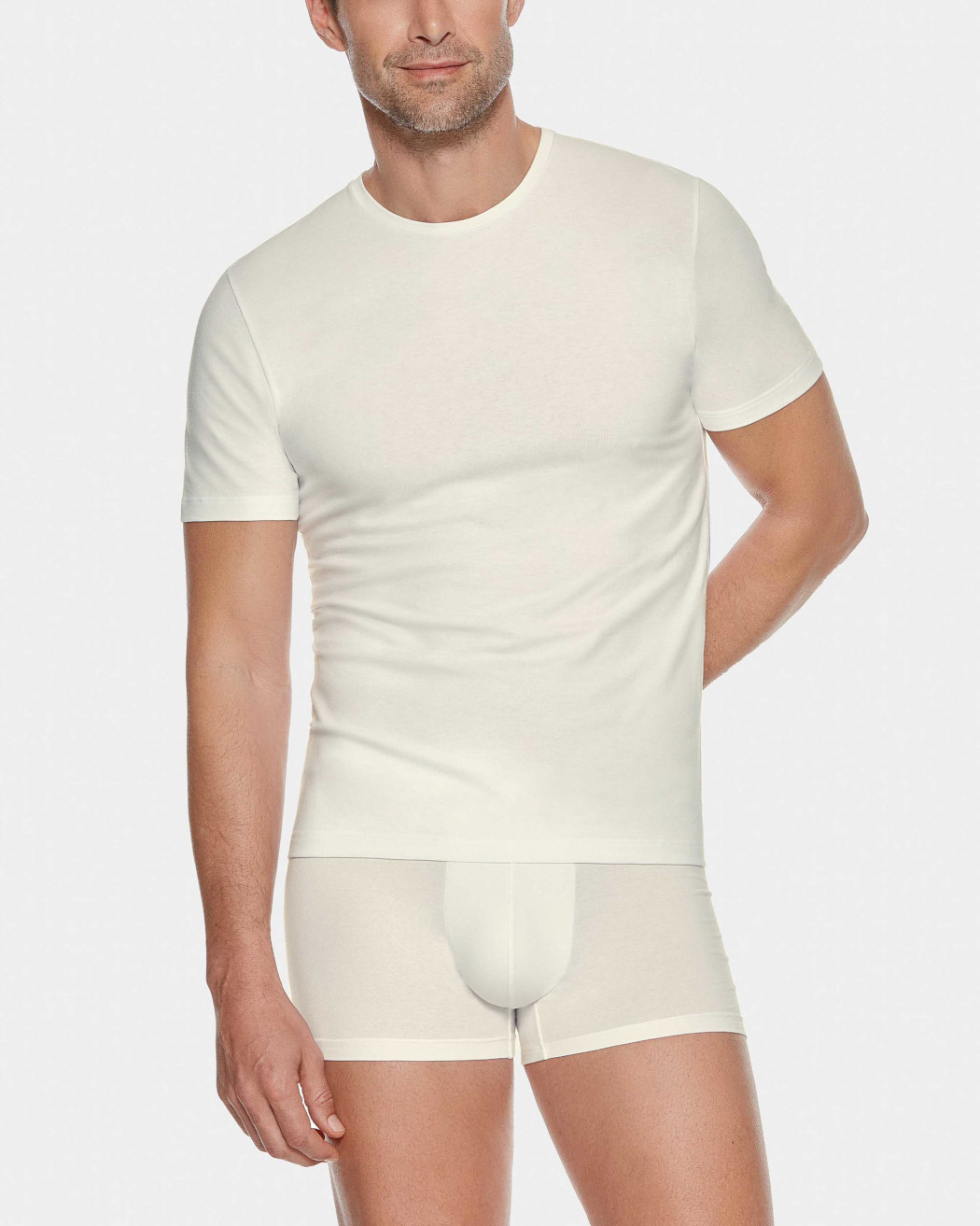 Impetus Premium Wool T-Shirt O Neck Kurzarm